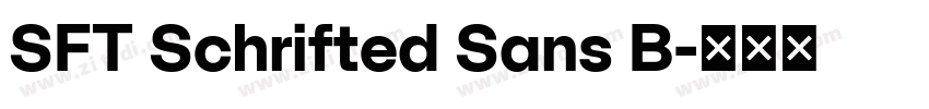 SFT Schrifted Sans B字体转换 SFT Schrifted Sans B字体转换
